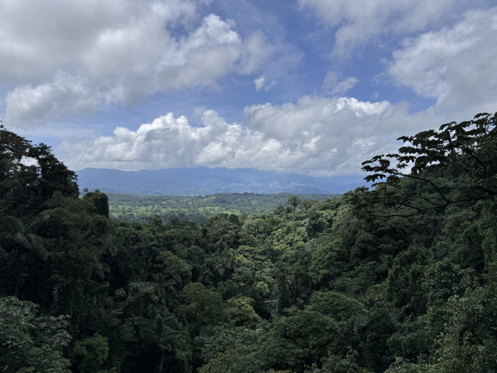 Costa Rica and sustainable tourism: balancing success and responsibility